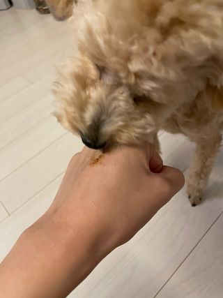 효효님이 올린 리뷰 사진 4