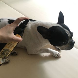 옴뇸뇸님이 올린 리뷰 사진 1