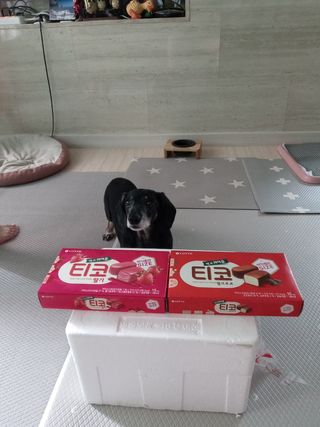 콩이누나님이 올린 리뷰 사진 1