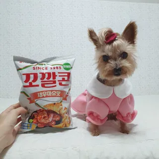 솜희님이 올린 리뷰 사진 2