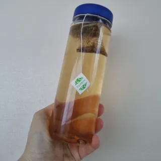 써니님이 올린 리뷰 사진 1