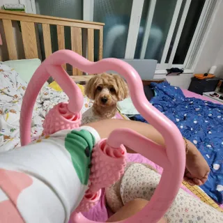 기린짱맘님이 올린 리뷰 사진 2