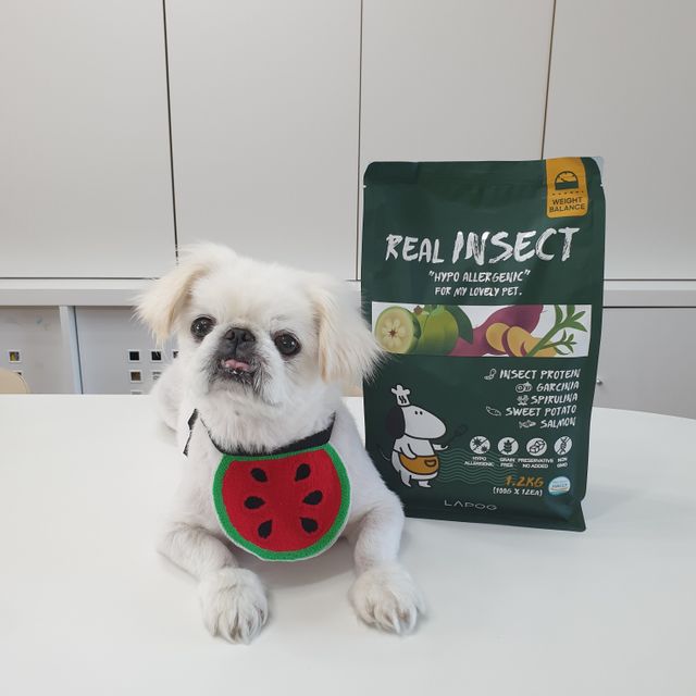 [푸디웜] 라포그  리얼인섹트 웨이트밸런스 저알러지 강아지 사료  1.2KG 리뷰 사진