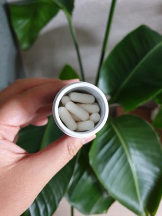 메디타민 인체유래 비피더스 포스트 프로바이오틱스 — 5점을 준 리뷰어가 2021년 5월 올린 사용 사진