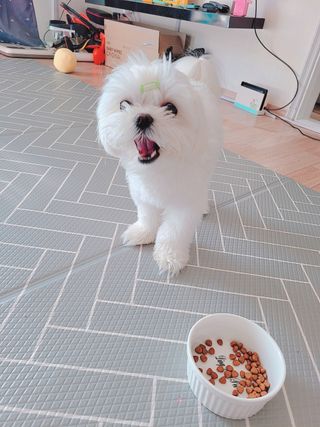 이미선님이 올린 리뷰 사진 1