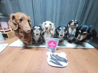 5_daks님이 올린 리뷰 사진 4
