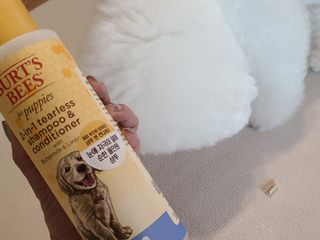 바다님이 올린 리뷰 사진 2