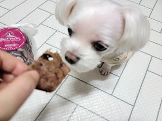 두부님이 올린 리뷰 사진 2