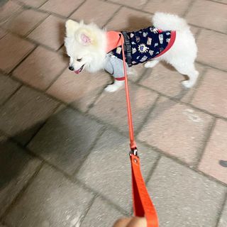 신블리마미님이 올린 리뷰 사진 3