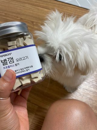 ck9kjoscyki님이 올린 리뷰 사진 2