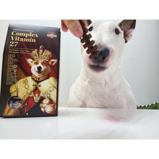 콩콩님이 올린 리뷰 사진 2