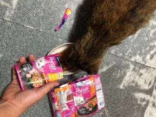 비타크래프트 포에시 델리스 고양이 파우치 85g 9가지맛 1팩씩 — 5점을 준 리뷰어가 2021년 8월 올린 사용 사진