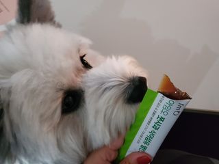 왕먼지님이 올린 리뷰 사진 4