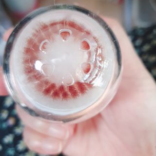 디하우트 랩 디하우트랩 클렌징 피부관리기 진동클렌저 실리콘+2종 인조모 브러시 — 5점을 준 리뷰어가 2021년 12월 올린 사용 사진
