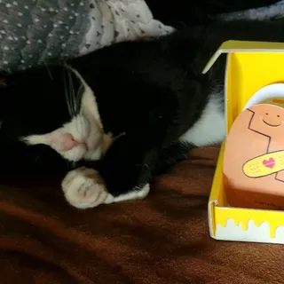 기왕이면호피치마님이 올린 리뷰 사진 3