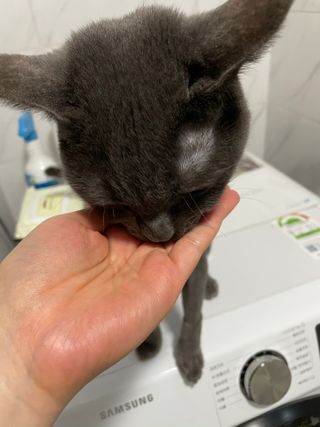 뿅아리님이 올린 리뷰 사진 4