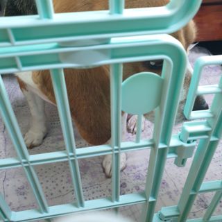 beaglelove님이 올린 리뷰 사진 4