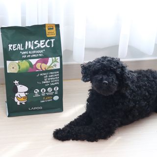 [푸디웜] 라포그  리얼인섹트 웨이트밸런스 저알러지 강아지 사료  1.2KG — 5점을 준 리뷰어가 2022년 7월 올린 사용 사진