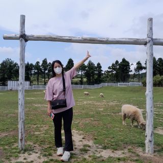 아코맘님이 올린 리뷰 사진 2