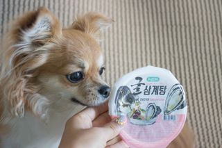 감자야산책가자님이 올린 리뷰 사진 4