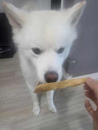 kay님이 올린 리뷰 사진 2