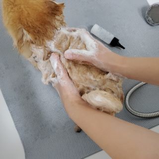 🌷 킴블리 🌷님이 올린 리뷰 사진 3