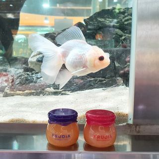 [후르디아] 올리브영 꿀과즙 립밤 2종 (블루베리/석류) — 5점을 준 리뷰어가 2021년 11월 올린 사용 사진