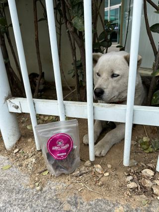 말사장님이 올린 리뷰 사진 4