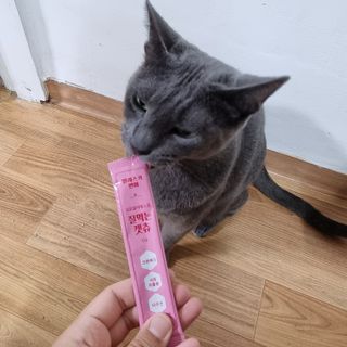 엘보리님이 올린 리뷰 사진 4