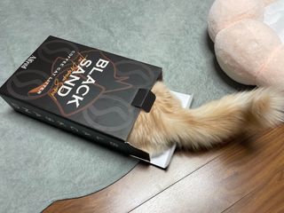 슨슨이님이 올린 리뷰 사진 2