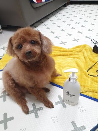 희야님이 올린 리뷰 사진 3