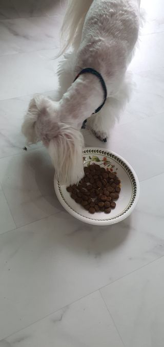 돌삐님이 올린 리뷰 사진 2