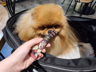 아롱이님이 올린 리뷰 사진 2