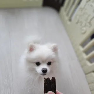 김보연님이 올린 리뷰 사진 1