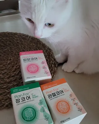 대박이님이 올린 리뷰 사진 2