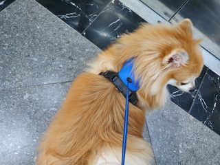 좋아님이 올린 리뷰 사진 1