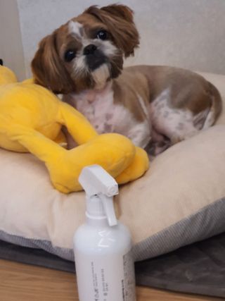 로운엄마님이 올린 리뷰 사진 2