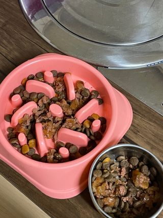 비타크래프트 조에시 하트캔 85g 강아지 습식캔 10캔 — 5점을 준 리뷰어가 2021년 7월 올린 사용 사진