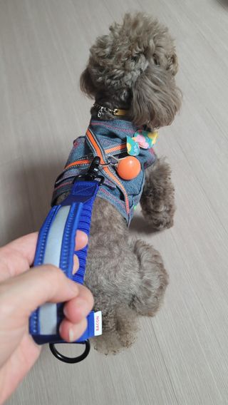 나초단맘님이 올린 리뷰 사진 2