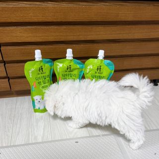 뭉히님이 올린 리뷰 사진 4