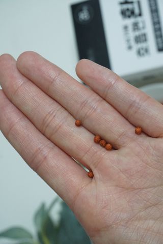 푸름웰니스 부아메라 프로폴리스 도라지 호흡편환 20포 — 5점을 준 리뷰어가 2022년 3월 올린 사용 사진