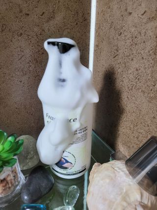 김맘님이 올린 리뷰 사진 2