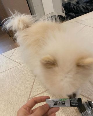 리디아은서님이 올린 리뷰 사진 4