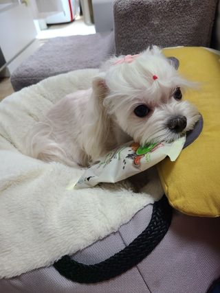 하람엄마님이 올린 리뷰 사진 1