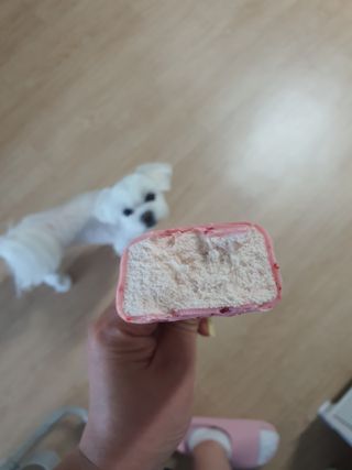 뽀오오옹님이 올린 리뷰 사진 3