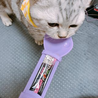 펭뽀꾸님이 올린 리뷰 사진 2