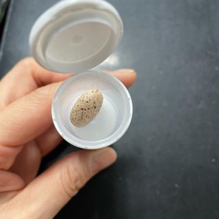 한미사이언스 주식회사 한미사이언스 화싹 — 5점을 준 리뷰어가 2022년 11월 올린 사용 사진