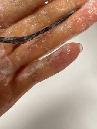 담아님이 올린 리뷰 사진 4