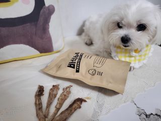 [보헤리] 국내산 강아지 육포간식 바삭 64 2종 — 5점을 준 리뷰어가 2022년 4월 올린 사용 사진