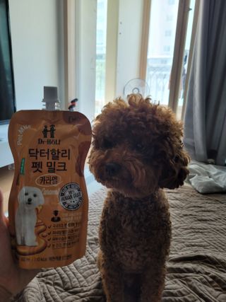 sssee님이 올린 리뷰 사진 2